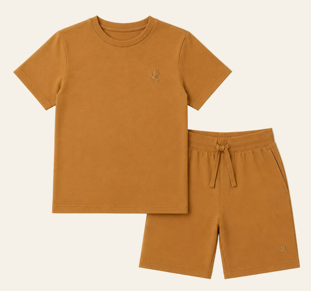 Noor Basics Shirt & Shorts Set