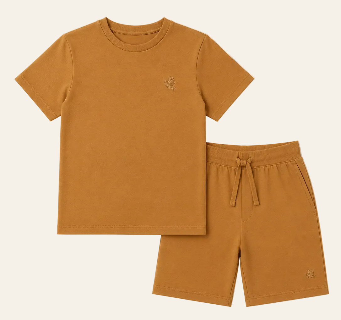 Noor Basics Shirt & Shorts Set